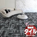 川島織物セルコン 業務用 タイルカーペット ピクタ リプレイス II AB690 全厚9.5mm 寸法50×50cm 16枚入り/ケース