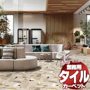 川島織物セルコン 業務用 タイルカーペット ピクタ ダップル II AB690 全厚9.5mm 寸法50×50cm 16枚入り/ケース
