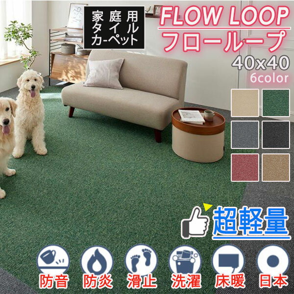 【送料無料】防音 防炎 洗える タイルカーペット スミノエ フローループ 40×40cm 10枚/ケース