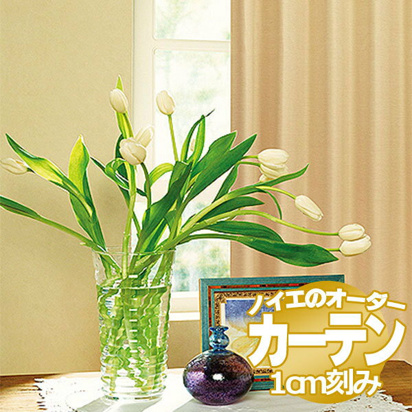 乐天商城 - ノイエ カーテン ドレープ クエストII 標準縫製 2倍ヒダ（タッセル含む） A価格