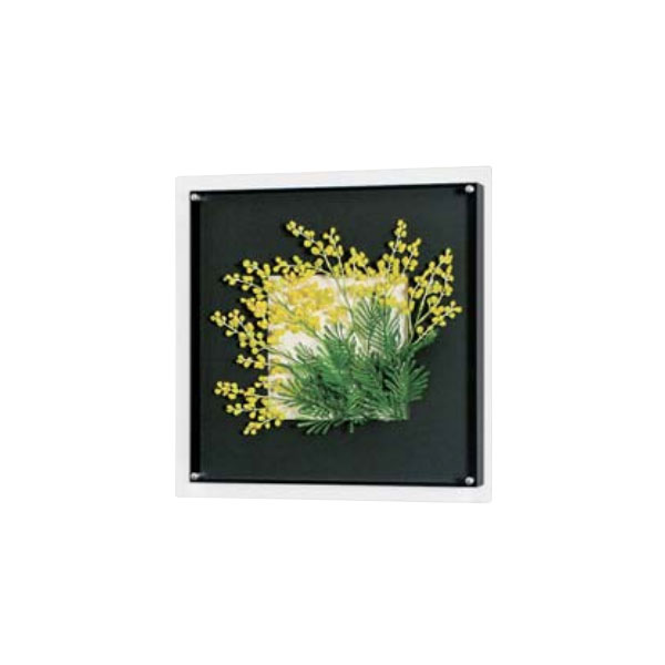ƥꥢե졼 ƥꥢǥ ɤ˼դ ǥåʶ ե W450H450D67mm AR3114