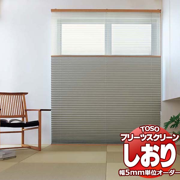 ںݥ23ܡܥݥۥȡ ץ꡼ĥ꡼ 25 󥰥 ׸ ץ졼 TP-81108115