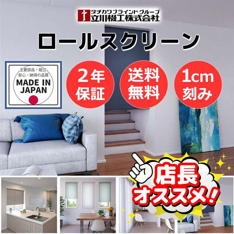 カーテンレール 取付可 無地 窓回り 収納 目隠し 空間 間仕切り 立川機工 ロールスクリーン