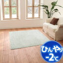 ⊴O(|2x) ЂJ[ybgŏȃGl΍ AQUAO WFbgt[Y CA631135 130X190cm O[