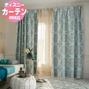 【送料無料】 既製カーテン ディズニーホームシリーズEDTION.11プリンセス/マジックランプ100x178cm