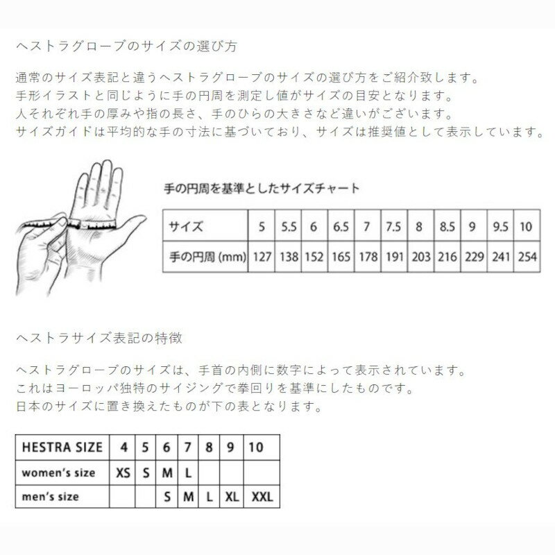 ヘストラ HESTRA 31732 All Mountain Czone 3-Finger スキーグローブ あったか 手袋 3本指 暴風 防水 2