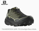 T gCV[Y 23FW SALOMON THUNDERCROSS GORE-TEX OliveNight Black Alfalfa SAebNX jO Y