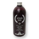 ★【送料無料】 コラボプロ／ スコラアカデミックシャンプー 480ml 詰替 Schola ACADEMIC SHAMPOO スコラシャンプー アカデミックシャンプー