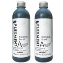 ★【送料無料】 パイモア π more / PLEXMENT プレックスメント リラクシングボンドA アッシュ 240g 【2個セット】 / 美容室専売品 システムトリートメント