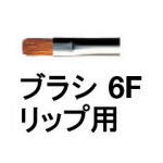 ̵ 奦  ֥饷 6F å  / shuuemura [  ]