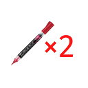 【店内商品☆ P2倍~20倍! 7/26 01:59まで】【送料無料】ぺんてる Pentel /デュアルメタリックブラッシュ/ ピンク+メタリックピンク 【2個セット】 XGFH-DP