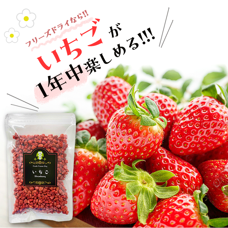 �ڥ��ߥ塼�ɸ����ۤ����� �ե꡼���ɥ饤 �Х�󥿥��� ���ۻҺ�� �� ������ �ȥåԥ� �ե롼�� �������� ���꡼���衼����� ������ �βۻ� ����Ρ��� ���祳�졼�� ����� �衼����� ������ ī�� ���ۻ� �ۥ磻�ȥǡ� �ǥ��졼����� ���� ���ɤ� �Ҷ� �����