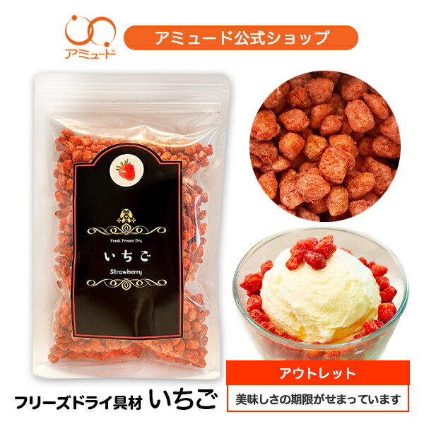 【アウトレット商品！賞味期限 2026年1月6日 数量限定！】いちご 苺 イチゴ フリーズドライ フルーツ ..