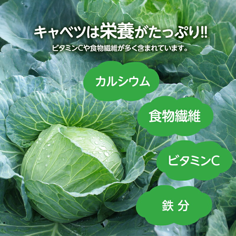 �ڥ��ߥ塼�ɸ����ۥ���٥� �ե꡼���ɥ饤�� �ɺ� ��￩ Ĺ����¸ ������ ������ �ߤ��� ��� Ĵ̣�� ���ߥ塼�� ���ߤ塼�ɤ����߾Ƥ� �����Ƥ� �� ����� �� �ޤȤ��㤤 �ȼ� �ȼԸ��� Ĺ����¸ ��¸ ��û ���Ĥޤ� ������ ������ ��ʪ���� ��� ���� �ȥåԥ�