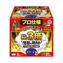 アース渦巻香 アース 極太 虫よけ線香 30巻 屋外専用 虫除け キャンプ アウトドア 農作業 虫 対策 忌避 予防