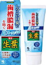 生葉 (しょうよう) 息スーッと実感タイプ 歯槽膿漏を防ぐ 薬用ハミガキ 和漢ハーブの香味 しつこい口臭に 100g 【医薬部外品】(3)