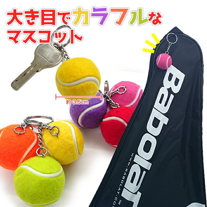 ��7��20����12������1500�ߥ����ݥ󡿻��η��ʤʤɤˤ��12�ĥ������ȡۥե���Ȥ��ꥢ�� �ߥ˥ƥ˥��ܡ���ޥ����å� �����ۥ����(17y9m)[����Ȥ��륯���ݥ�ץ쥼���]