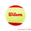 륽 å ߥǥܡ(1) åƥ˥ܡ(Wilson Starter Red Tennis Balls)[Ȥ륯ݥץ쥼]