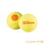 륽  ߥǥܡ(1) åƥ˥ܡ(Wilson Starter Oramge Tennis Balls)[Ȥ륯ݥץ쥼]