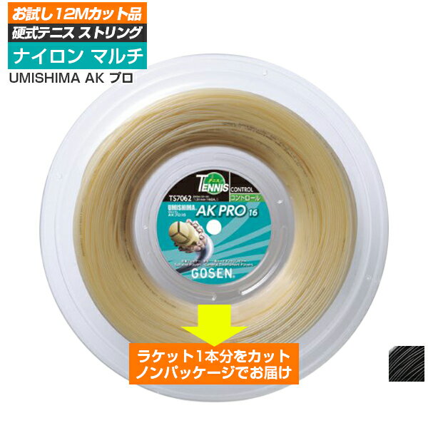 ڤ12Måʡۥ(GOSEN) ߥ AKץ 16(1.31mm)17(1.22mm)(AK PRO 1617) żƥ˥å 緿ΥեTS706708[Ȥ륯ݥץ쥼]