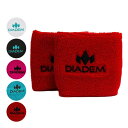ダイアデム(DIADEM) ユニセックス 刺繍入り 2.75インチ シングルワイド リストバンド 2枚入り WRBAND-S(24y2m)[次回使えるクーポンプ...