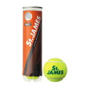 DUNLOP(ダンロップ)「St.JAMES(セントジェームス)(1缶／4球)」硬式テニスボール 次回使えるクーポンプレゼント