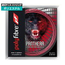 単張パッケージ品 ポリファイバー(Polyfibre) パンテーラ PANTHERA (1.20／1.25／1.30mm)硬式テニス ポリエステルガット 次回使えるクーポンプレゼント