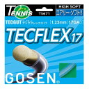 uPpbP[WivS[Z(Gosen) TECGUT TECFLEX 17 ebNtbNX 17 (1.23mm^17GA) dejX }`tBgKbg TS671-AQ ANA(23y9m)[gN[|v[g]