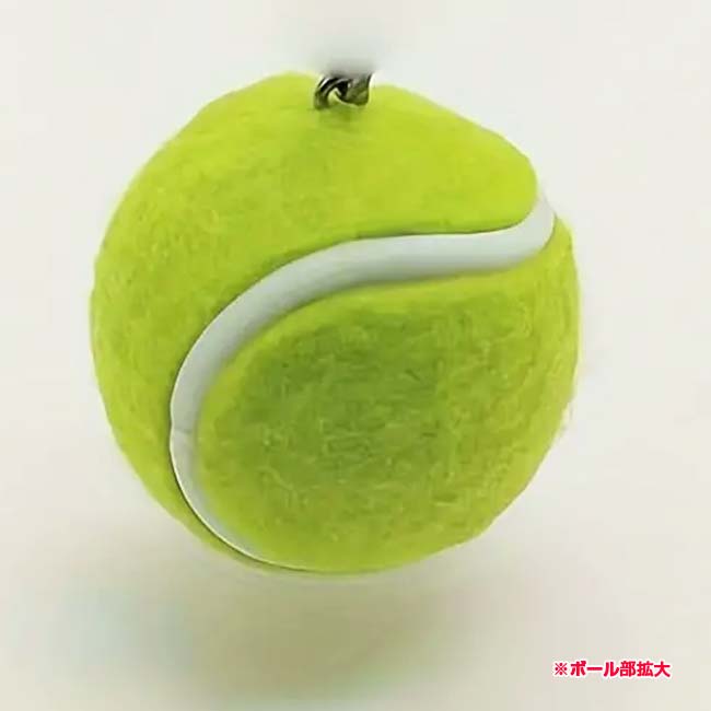 �ڼ����Τ������ˢ������Ȥ���Ω�ä��㤪���� �ƥ˥��ܡ��뷿 �եå��ԥ��� �ƥ˥����������� TE939991-��������(24y5m)[����Ȥ��륯���ݥ�ץ쥼���]