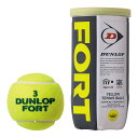 DUNLOP（ダンロップ）【FORT（フォート） 2個入 （1缶／2球）】硬式テニスボール 次回使えるクーポンプレゼント