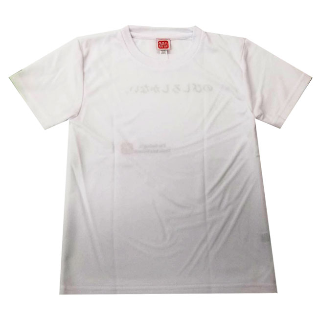 売切り終了!在庫処分特価】【日本サイズ】テニス...の紹介画像2