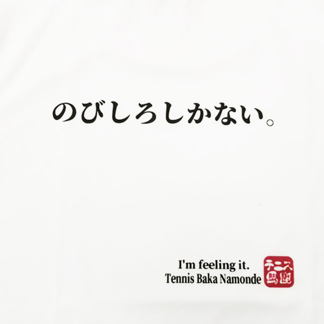 売切り終了!在庫処分特価】【日本サイズ】テニス...の紹介画像3