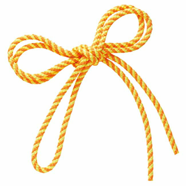 ������(SASAKI) ����˥� ���ѥ��������� MJ-243(20y5m)MJ243��[����Ȥ��륯���ݥ�ץ쥼���]