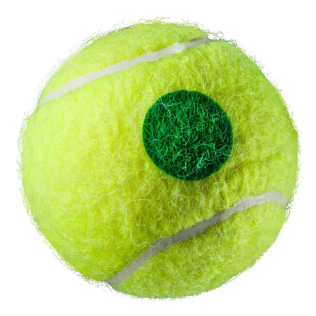 �ڥ���˥��ܡ���1��ۥܡ��륺�����ߥƥå�(Balls unlimited) ���꡼��ܡ���(���ơ���1) �ݥ���ȥޡ��������� ����˥��ƥ˥��ܡ��� (21y6m)[����Ȥ��륯���ݥ�ץ쥼���]