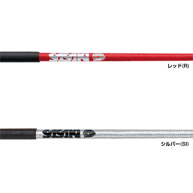 ササキ(SASAKI) ホログラムスティック 60cm 国際体操連盟認定品 M-781H-F(21y12m)M781HF★[次回使えるクーポンプレゼント] 2