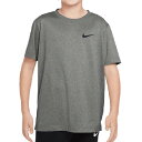 ナイキ(NIKE) 2025 FA ジュニア LEGEND レジェンド Dri-FIT 半袖Tシャツ FZ5198-001 タンブルグレー(25y7mトレーニン...