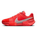 ナイキ(NIKE) 2025 FA レディース Zoom GP Challenge Pro Premium HC ハードコート用テニスシューズ HQ2609-6...