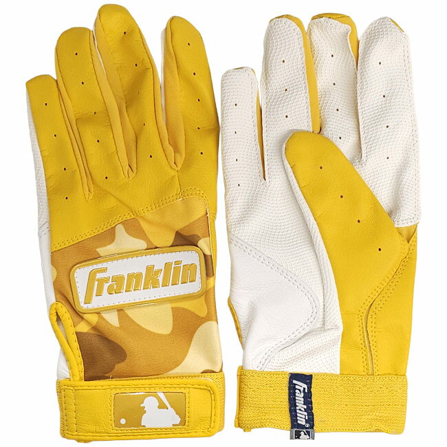 ��ξ���ѥ��åȡ�FRANKLIN(�ե�󥯥��) DIGITEK �ǥ��ƥå� �ǥ������º� �Хåƥ��󥰥������� ������� ����� 21072 �ۥ磻�ȡߥ�����...