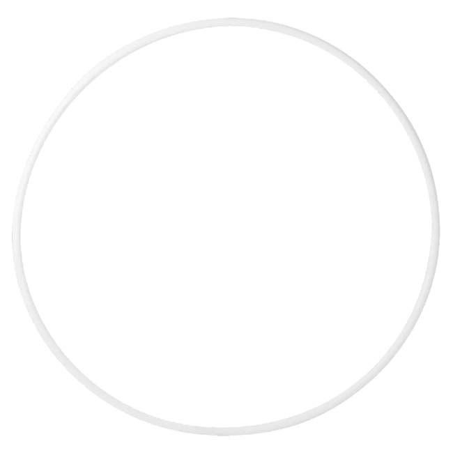 ＼11日まで8％OFFクーポン／【内径65cm】ササキ(SASAKI) 新体操 スタンダードフー...