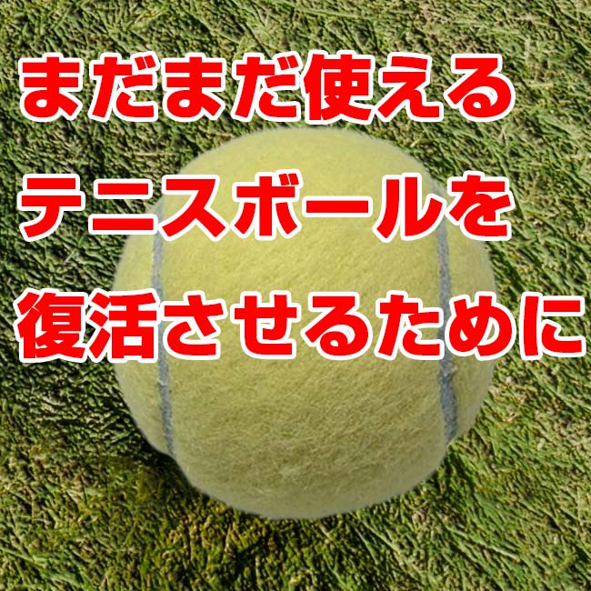アミュゼスポーツの＼14日〜23日最大1500円OFFクーポン／【テニスボール用】テニス馬鹿 テニスボールリバイバー 大容量プレッシャライザー 約70球対応 テニスボール復活 加圧器 圧力回復 ※空気入れは付属しません※(26y7m)[次回使えるクーポンプレゼント]｜アングル3