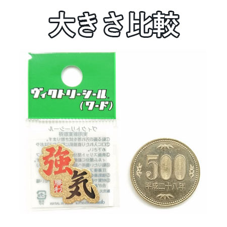 �߸˽�ʬ�ò��ۡڥ饱�åȤ�Ž�äƥƥ󥷥��UP���ۥ������ȥ꡼������(���) DV002(17y6m)[����Ȥ��륯���ݥ�ץ쥼���]