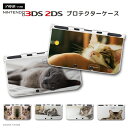 new3DS LL カバー ケース new 3DSLL new 2DS LL 3DS LL カバー Nintendo かわいい おしゃれ 大人 子供 キッズ おもちゃ ゲーム 猫 ネコ ねこ Cat キャット 写真 かわいい ペット