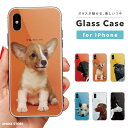 iPhone16e ケース ガラス iPhone16 スマホケース iPhone15 Pro iPhone14 Plus iPhone13 mini iPhone SE ケース TPUケース ガラスケース 韓国 おしゃれ 犬 ワンちゃん ドッグ デザイン キュート いぬ 子犬 パグ かわいい