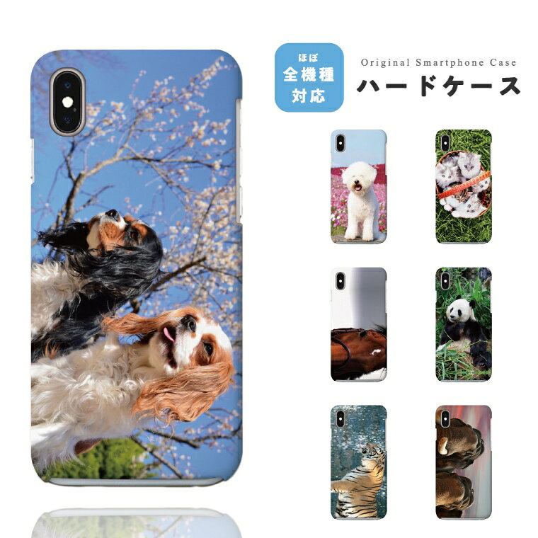 Rakuten - 【ギフト対応】 スマホケース ハード おしゃれ 全機種対応 アニマル パンダ ウマ ライオン iPhone17e iPhone17 ケース Google Pixel10a Pixel9a AQUOS sense10 sense9 Xperia 10 VII Galaxy S26 A25 5G Reno13A iPhone16e iPhone16 スマホカバー