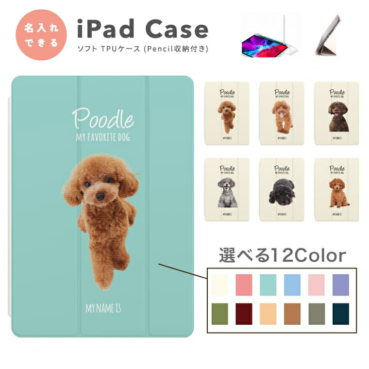 ̾���� �ץ쥼��� iPad ������ ���С� �ڥ��Ǽ A16 ��10���� ��9���� ��8���� ��7���� ��6���� �ڹ� �İ��� 10.9����� 10.2�����...