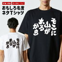 おもしろ Tシャツ おもしろTシャツ メンズ レディース キッズ 半袖 長袖 かわいい ふざけ パロディ 日本語 漢字 文字 プレゼント ギフト ネタTシャツ ...