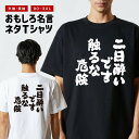 おもしろ Tシャツ おもしろTシャツ メンズ レディース キッズ 半袖 長袖 かわいい ふざけ パロディ 日本語 漢字 文字 プレゼント ギフト ネタTシャツ ...