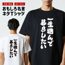 おもしろ Tシャツ おもしろTシャツ メンズ レディース キッズ 半袖 長袖 かわいい ふざけ パロディ 日本語 漢字 文字 プレゼント ギフト ネタTシャツ ...