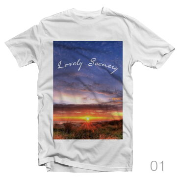 Tシャツ メンズ レディース 半袖 おしゃれ プリント クルーネック ブラック ホワイト グレー 綿100% コットン 春 夏 春服 夏服 メンズファッション カジュアル Lovely Scenery オリジナル 景色 キレイ