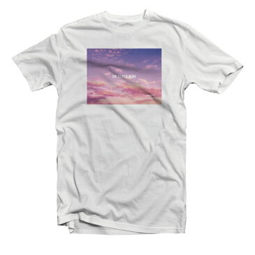 Tシャツ メンズ レディース 半袖 おしゃれ プリント クルーネック ブラック ホワイト グレー 綿100% コットン 春 夏 春服 夏服 メンズファッション カジュアル 風景 景色 ハワイアン